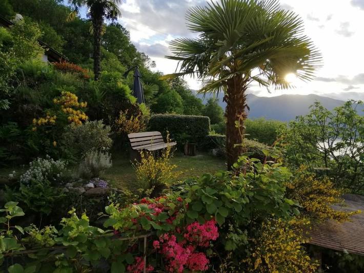 Apartamento entero, Casa Barbara in Piazzogna, Gambarogno