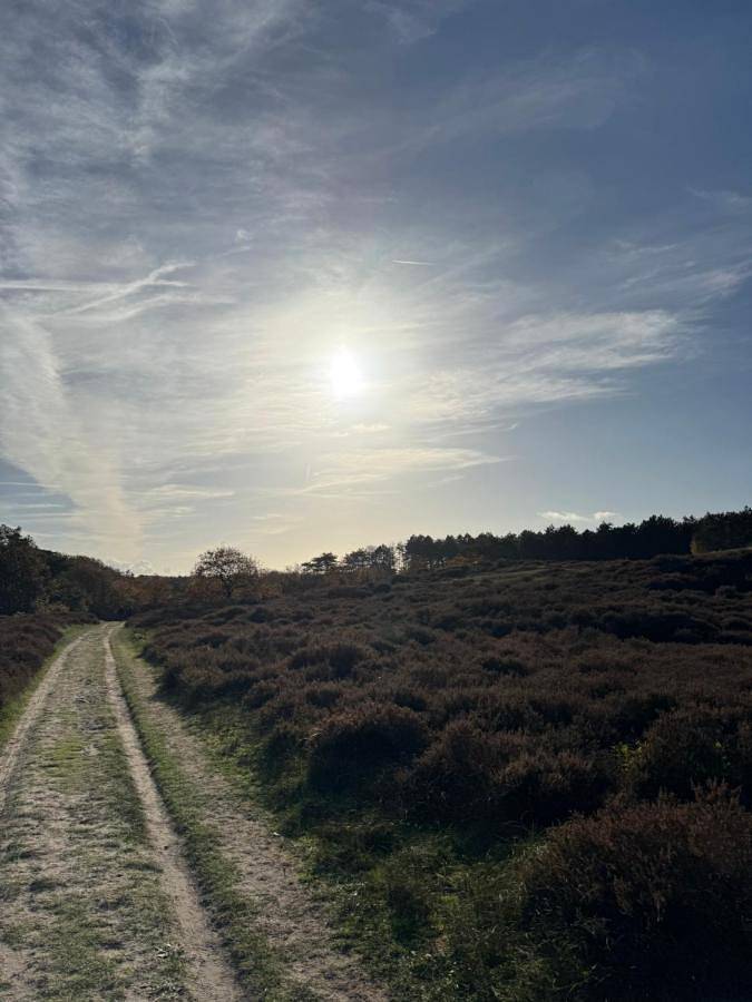 Maison d’hôte pour 2 personnes, avec jardin dans Bergen (Hollande-Septentrionale) - 3