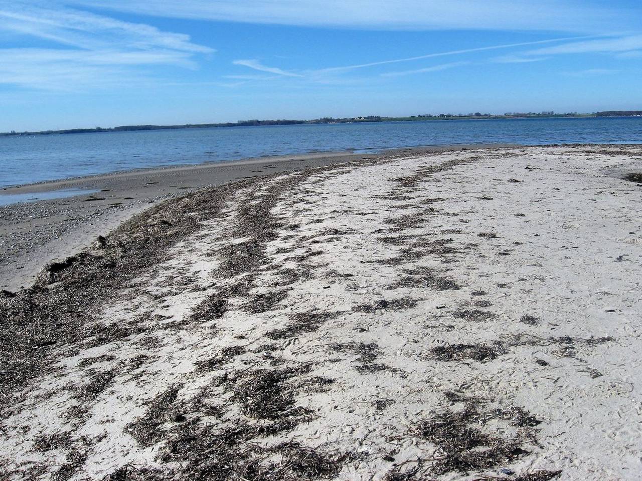 "Eddy" - 50m from the sea in Fejø, Schwedische Ostsee