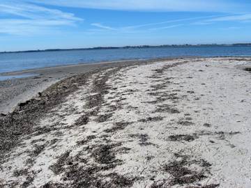 Ferieudlejning til 6 Personer i Fejø, Lolland, Billede 3