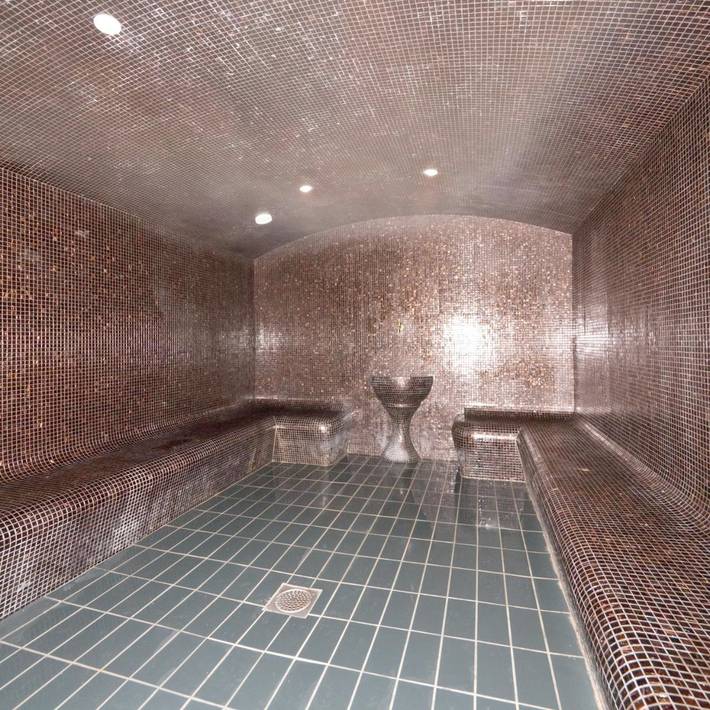 Location de vacances pour 4 personnes, avec piscine et jacuzzi ainsi que sauna et balcon dans Office de Tourisme de Thonon les Bains - 4