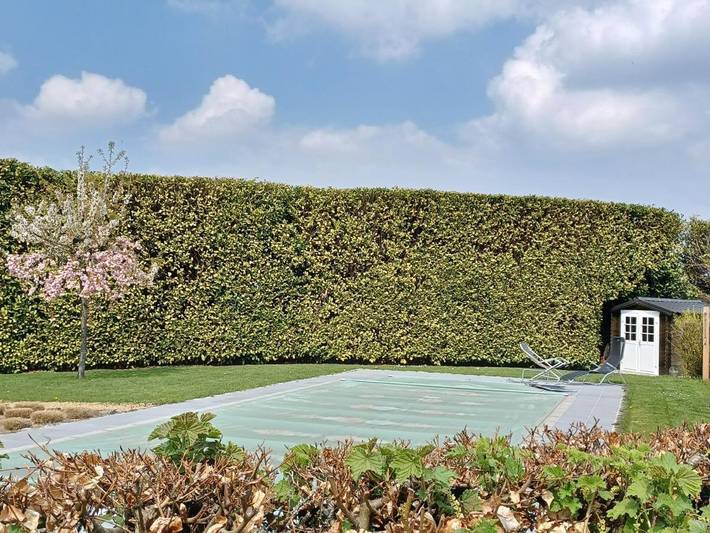 Gîte pour 2 personnes, avec vue ainsi que piscine et jardin à Wavre - 2