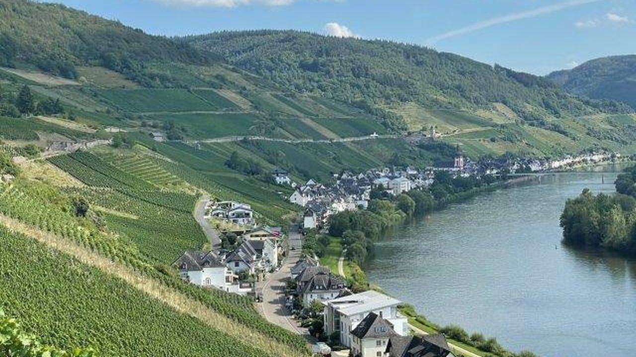 Ganze Ferienwohnung, Ferienwohnung für 4 Personen (75 m²) in Zell (Mosel) in Zell Stadt (Mosel), Zell (Mosel)