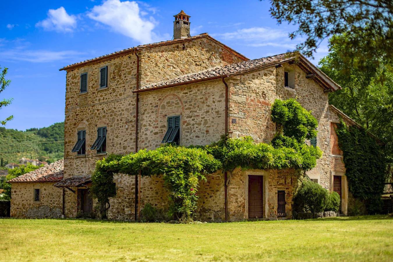Olivo in Arezzo, Province d'Arezzo