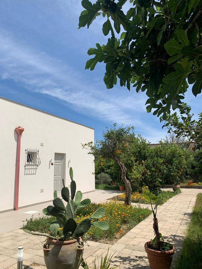 Gîte pour 2 personnes, avec vue ainsi que jardin et terrasse, animaux acceptés à Procida - 4