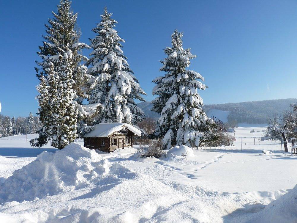 Sontheim's Naturhotel & Spa - Einzelzimmer Standard in Maierhöfen, Bayerisch Schwaben