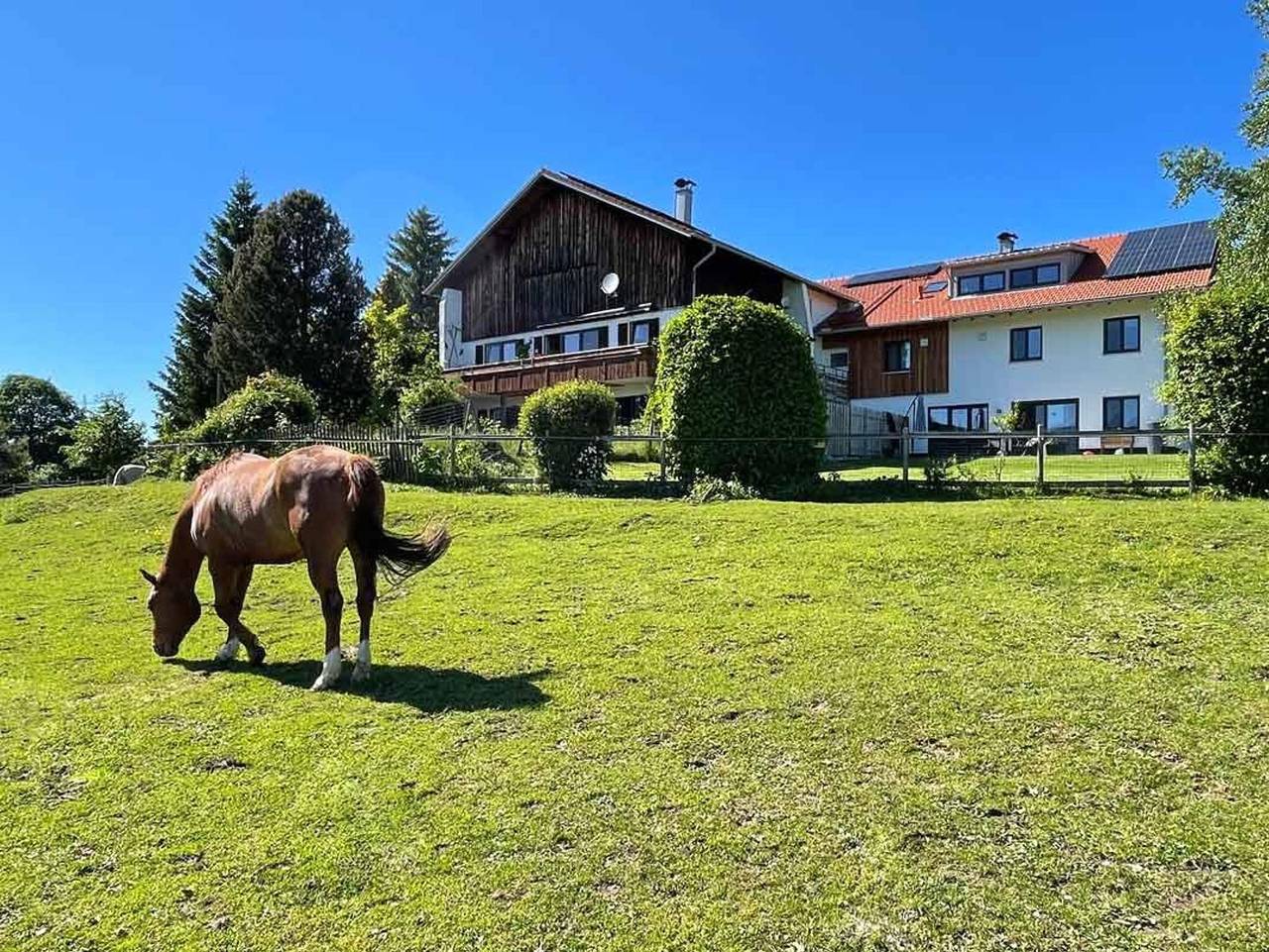 Ganze Ferienwohnung, Alpen Panoramahof - Ferienwohnung, 2 Schlafzimmer, Bad + Dusche/Wc in Nesselwang, Bayerisch Schwaben