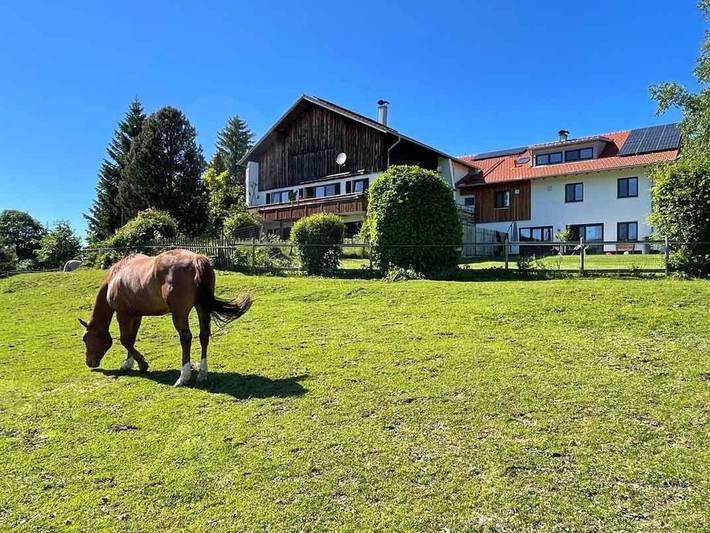 Ferienwohnung für 6 Personen, mit Garten, mit Haustier - 1