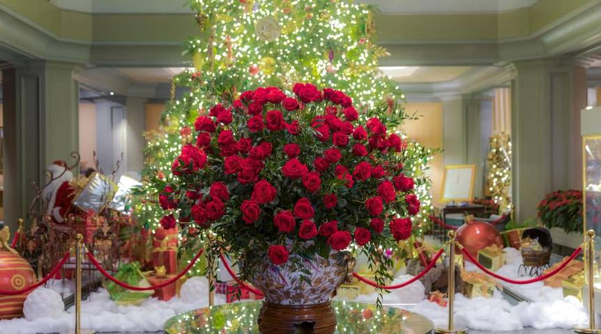 Apartamento para 4 personas, con jardín y piscina, Se admiten mascotas en New Orleans