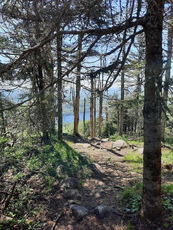 Perfect Family Getaway! in Mont-Tremblant