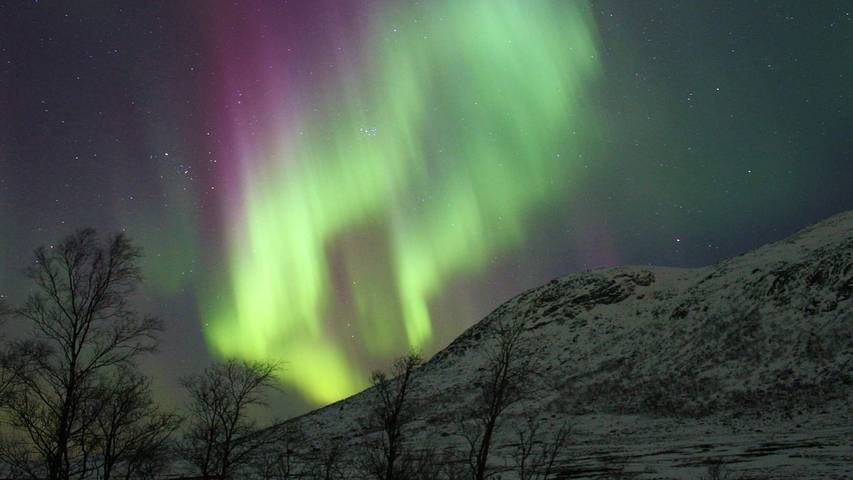 Hütte für 9 Personen, mit Terrasse auf den Lofoten - 3