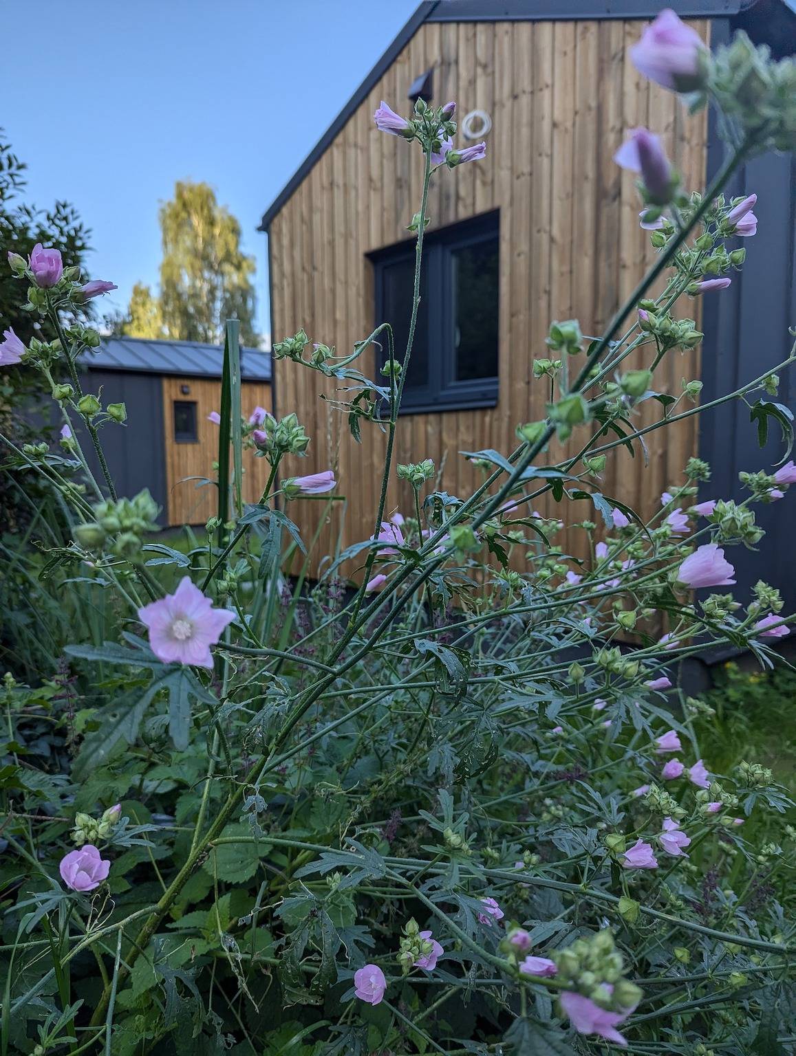 Haus Silva in Stuer, Plauer See