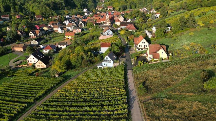 Gîte pour 7 personnes, avec vue et terrasse, animaux acceptés à Reichsfeld - 3