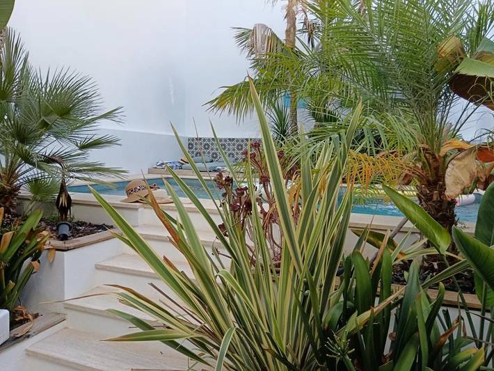 Location de vacances pour 8 personnes, avec jacuzzi ainsi que jardin et piscine à Bornos - 4