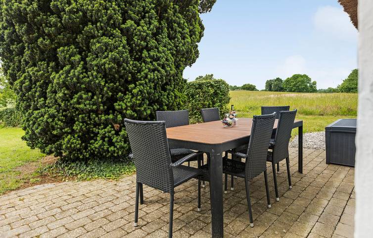Ferienhaus für 6 Personen, mit Terrasse und Whirlpool sowie Sauna in Augustenburg - 4