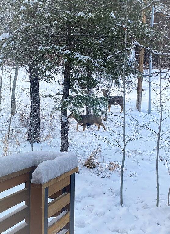 Vacation rental for 14 people, with yard and hot tub in Alpine (WY)