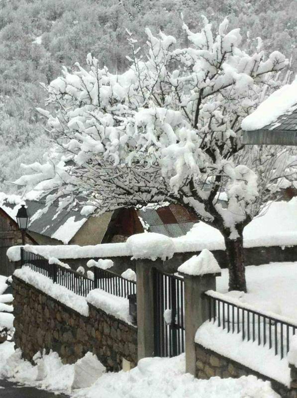 Location de vacances pour 9 personnes, avec jardin à Cazeaux-de-Larboust - 3