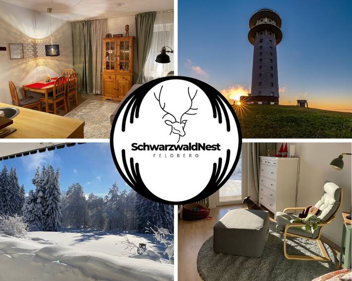 Hütte für 4 Personen, mit Terrasse und Garten in Feldberg