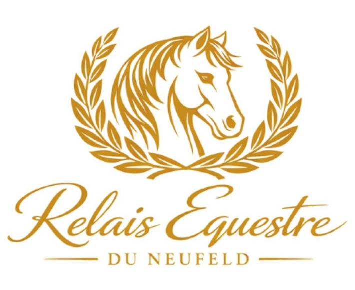 Location de vacances pour 2 personnes, avec vue et terrasse ainsi que jardin et piscine, animaux acceptés à Oberhaslach - 2