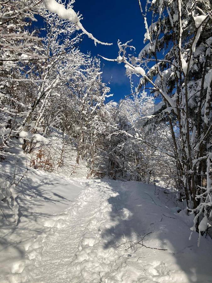 Chambre d’hôte pour 2 personnes, avec balcon et vue, animaux acceptés dans Lac du Bourget - 2