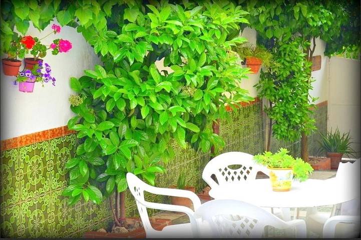 Apartamento para 8 personas, con Balcón y Terraza además de Jardín y Piscina en La Zubia