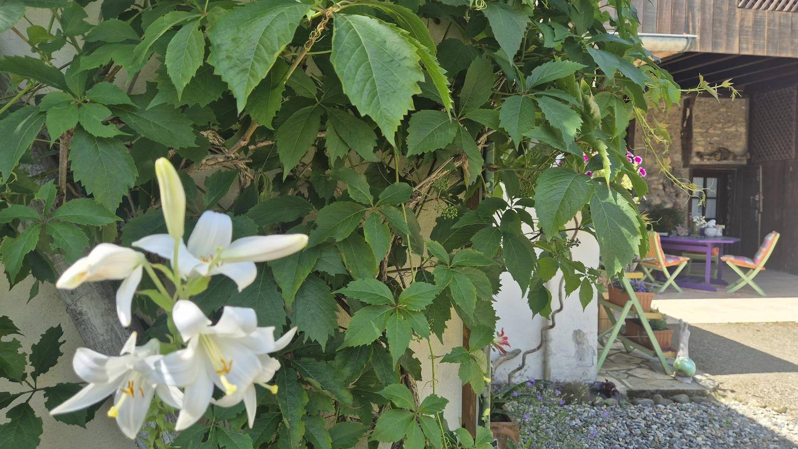 Chambre d’hôte pour 2 personnes avec jardin in Salies-de-Béarn, Béarn