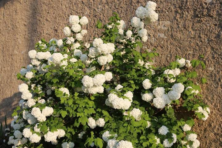 Location de vacances pour 6 personnes, avec piscine ainsi que jardin et vue à Châtellerault - 2