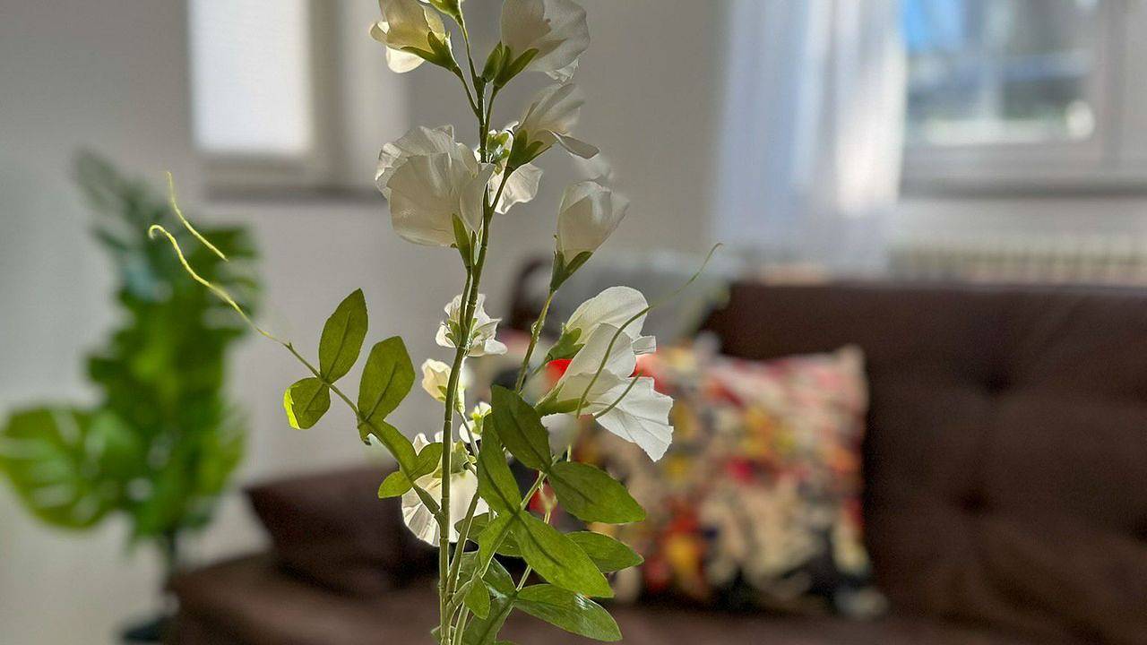 Ganze Ferienwohnung, Ferienwohnung für 3 Personen (45 m²) in Stockach in Stockach, Landkreis Konstanz