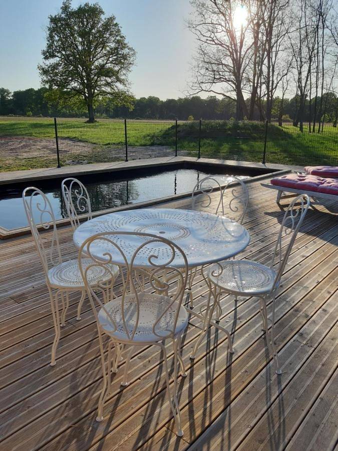 Location de vacances pour 12 personnes, avec piscine ainsi que vue et jardin, animaux acceptés à Dhuizon - 4