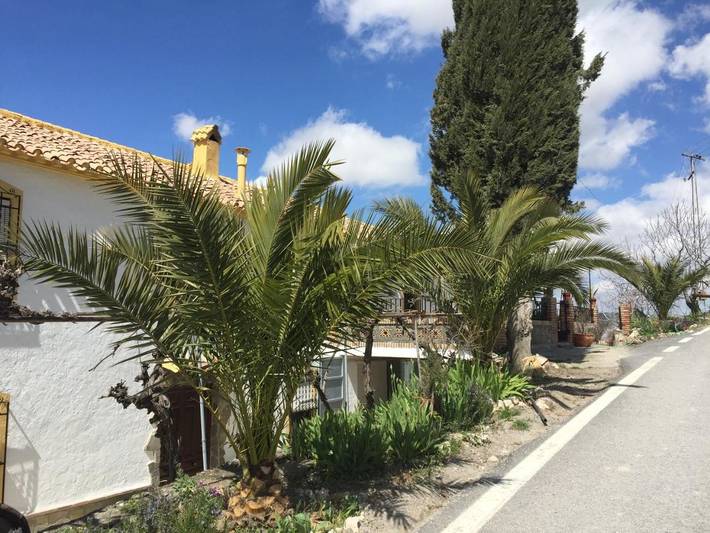 Casa rural para 11 personas, con Terraza y Jardín además de Piscina y Vistas en Sierra Sur Jaen - 4