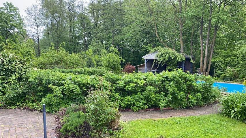 Ferienhaus für 12 Personen, mit Garten und Sauna sowie Pool in Bastorf - 3