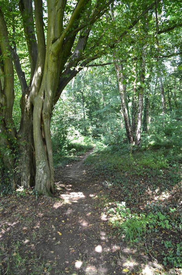 Gîte pour 4 personnes, avec jardin et vue à La Calamine