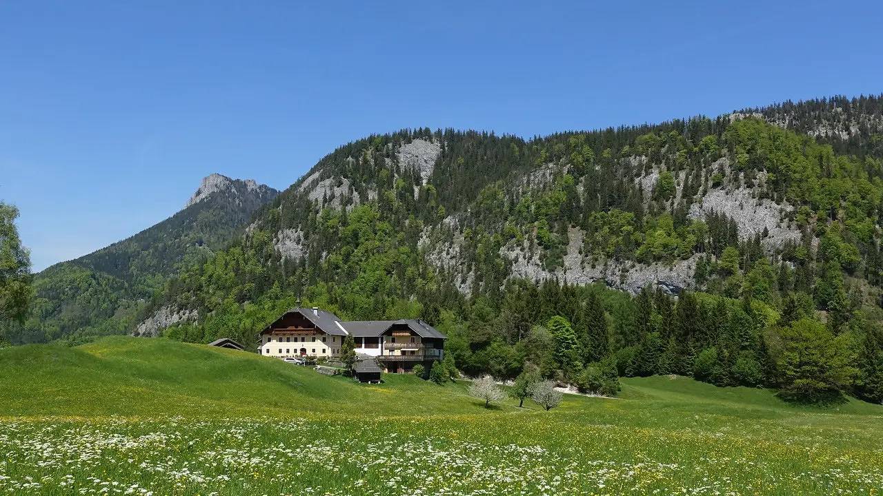 Ganze Ferienwohnung, Ferienwohnung für 2 Personen (30 m²) in Fuschl am See in Fuschl am See, Bezirk Salzburg-Umgebung