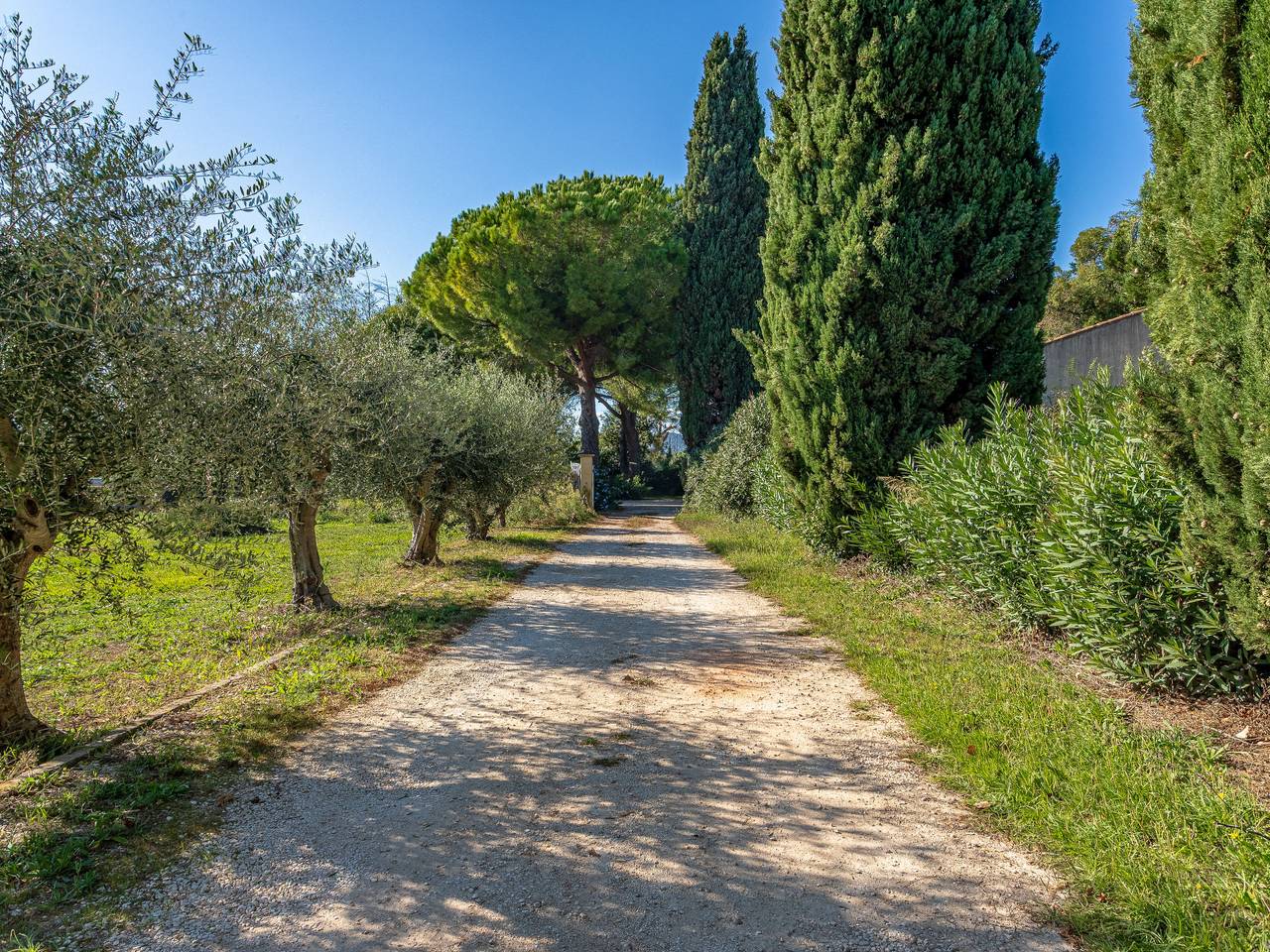 Palmeraie in Hyeres, Parque nacional Port-Cros