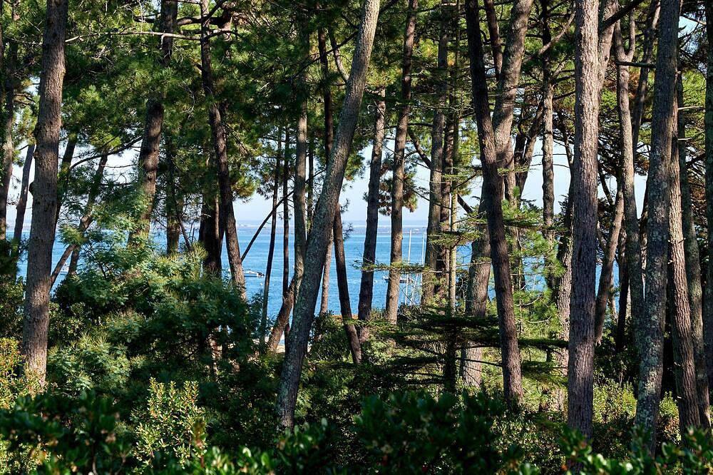 Contemporary villa Cap Ferret 5 mns from the beach of the Americans - Bassin view in Lège-Cap-Ferret, Région d'Arcachon