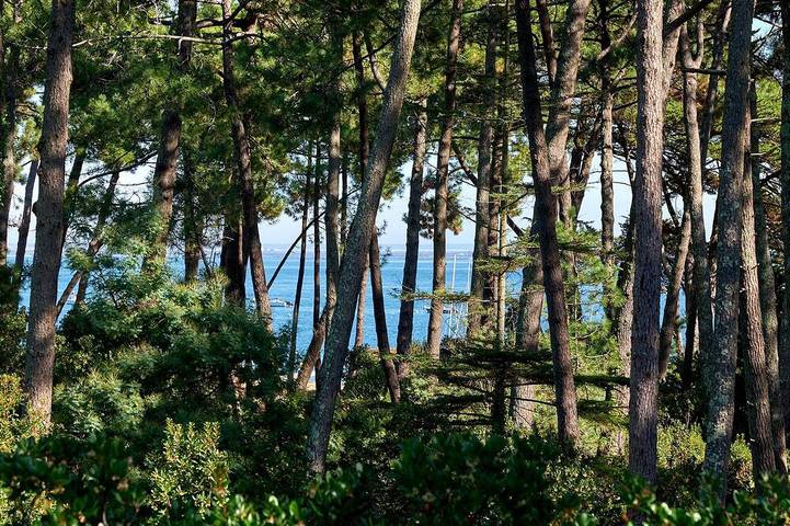 Maison de vacances pour 8 personnes, avec Balcon et Jardin au Cap Ferret