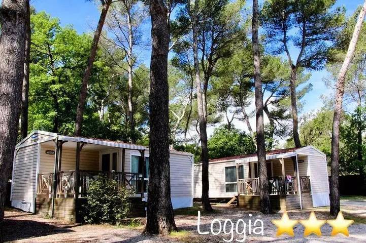 Mobil home pour 4 personnes à Peynier - 4