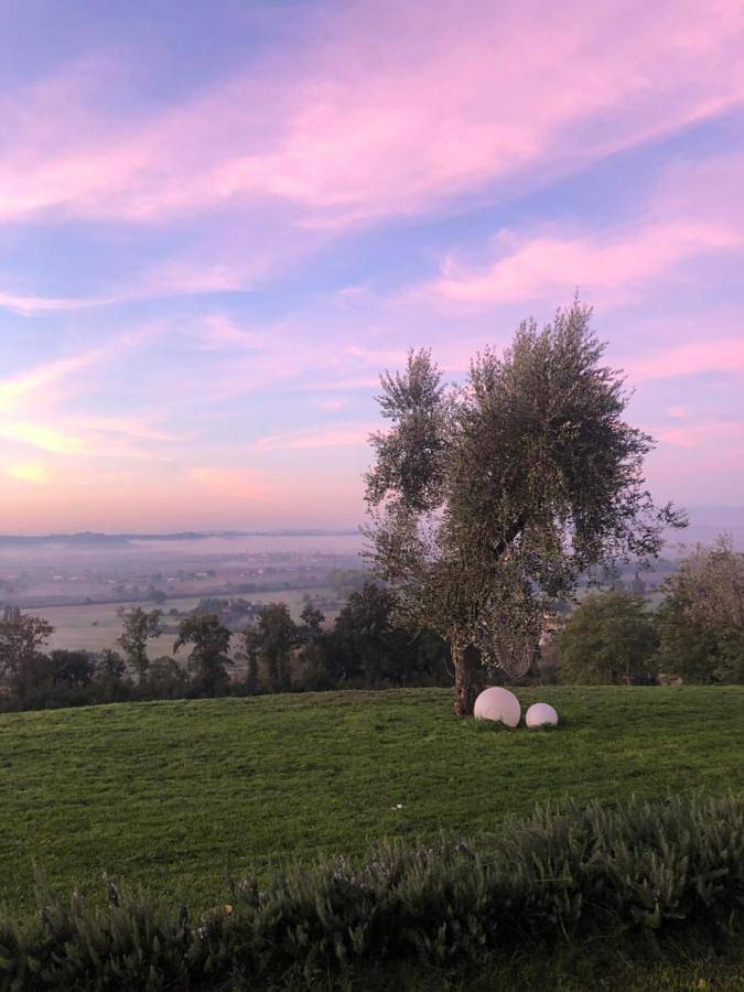 Ferienwohnung für 4 Personen, mit Ausblick und Garten, mit Haustier - 1