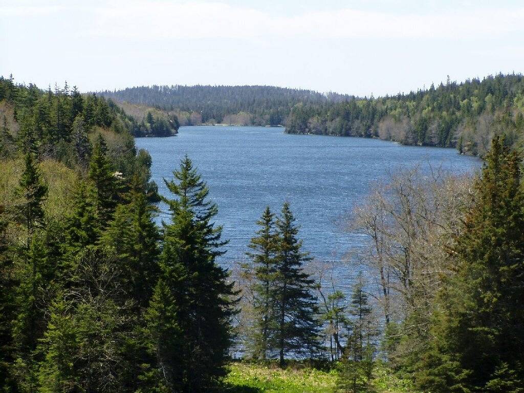 Glamping for 15 Guests in Maine, USA