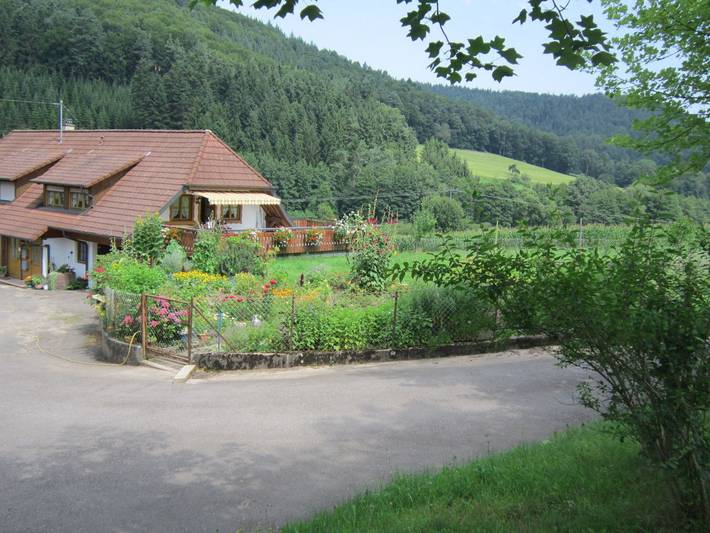 Ganze Ferienwohnung, Gästehaus Pfaffenhof - Ferienwohnung Pfaffenhof, 70qm, 2 Schlafzimmer, mit Terrasse, max. 4 Personen in Seelbach, Mittlerer Schwarzwald