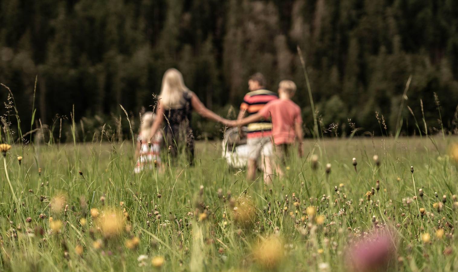 Familiensuiten klein in Gailtaler Alpen, Obertilliach