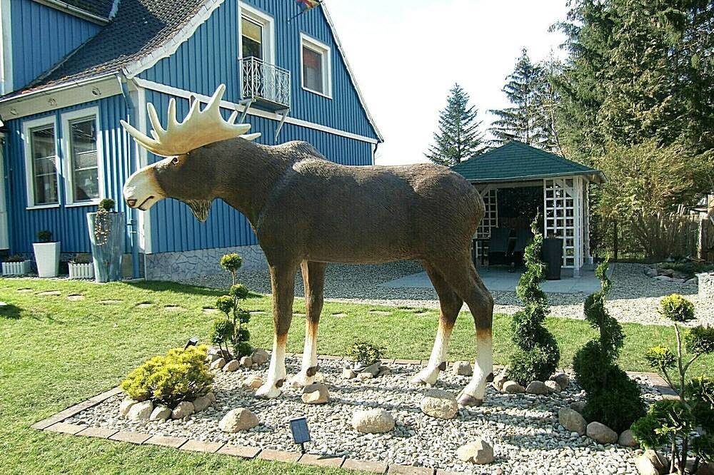 Ganze Wohnung, Fewo Schwedenhaus in Eschede, Naturpark Südheide