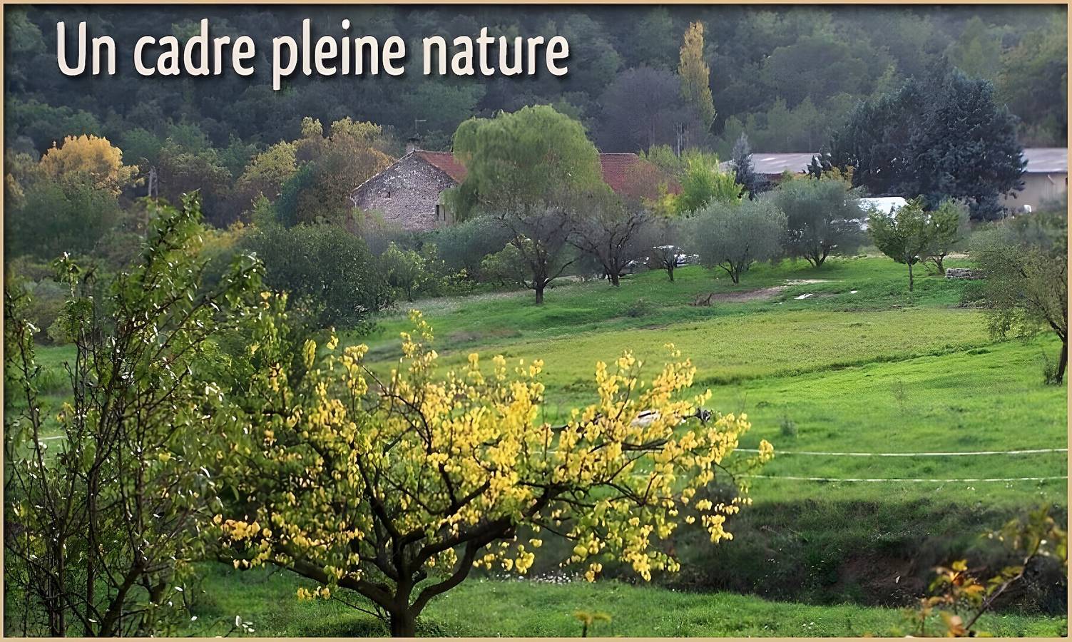 Maison de vacances 'Grand Gite' avec piscine commune, terrasse et jardin privés in Saint-Christol-lès-Alès, Parc national des Cévennes