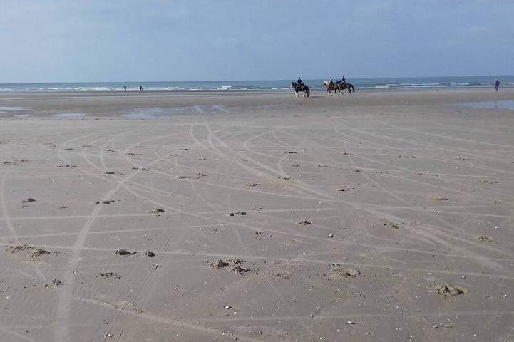 Ferienhaus für 4 Personen, mit Pool und Garten, mit Haustier in De Panne - 4
