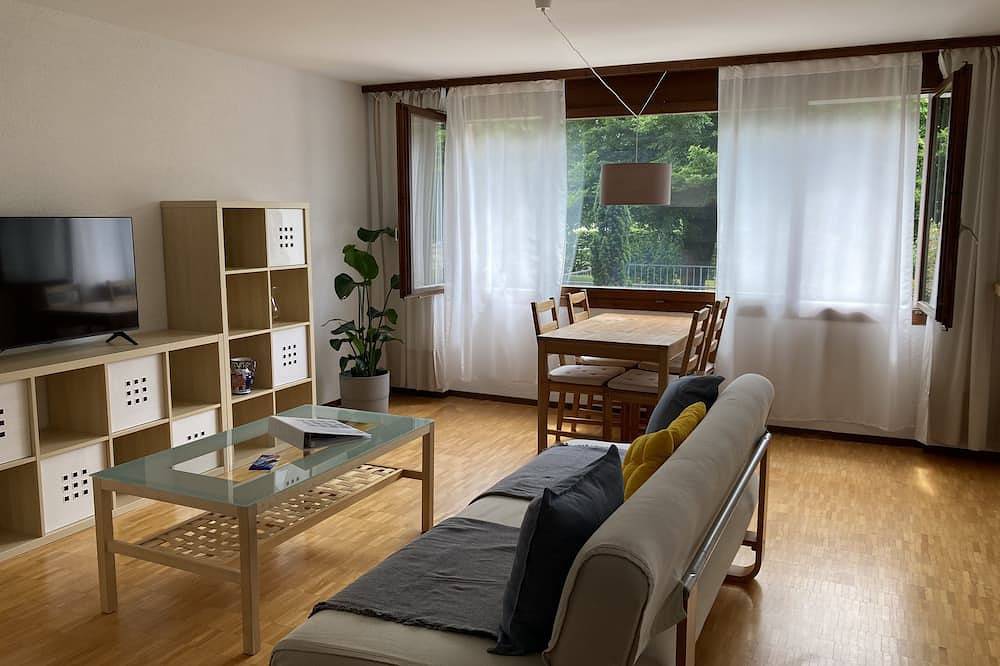 Ganze Wohnung, Helle grosse 1 Zimmerwohnung mit Balkon in Aargau-Basel
