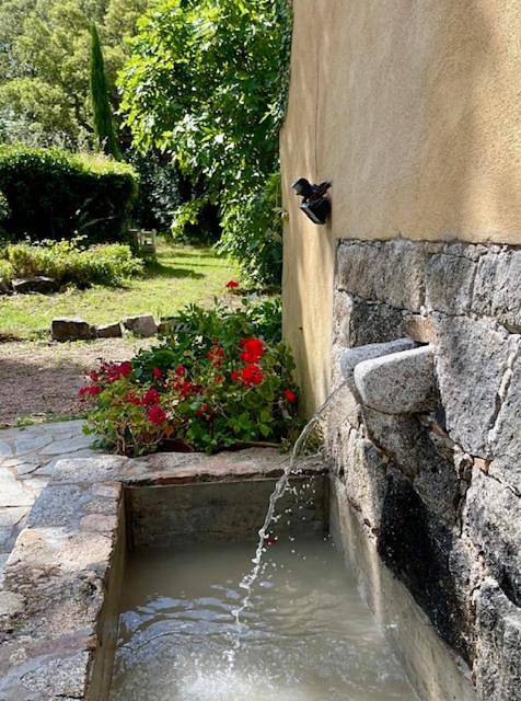 Chambre d’hôte pour 2 personnes, avec jardin et sauna ainsi que terrasse et vue à Porto-Vecchio - 4