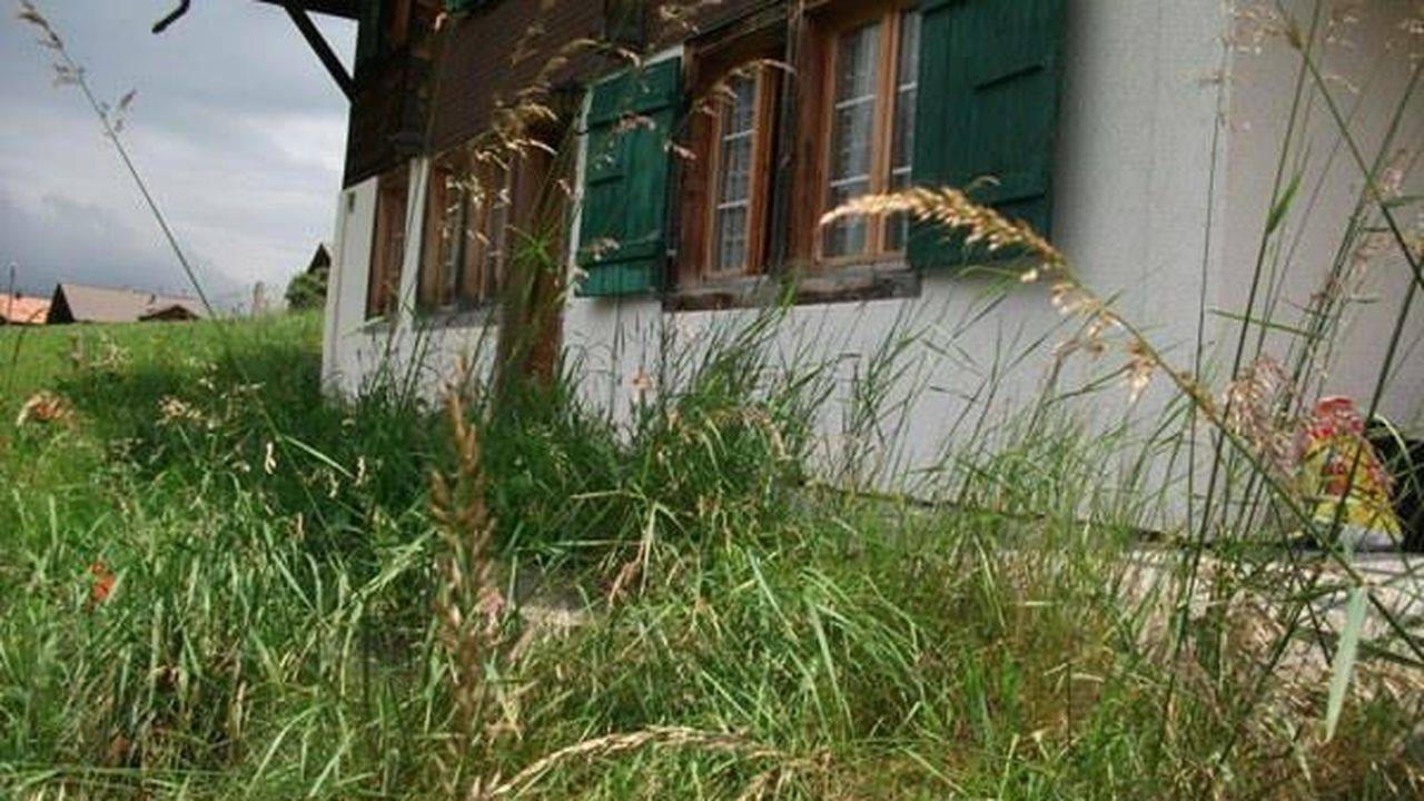 Ganze Ferienwohnung, Ferienwohnung für 4 Personen (40 m²) in Adelboden in Adelboden, Frutigen - Lenk - Adelboden