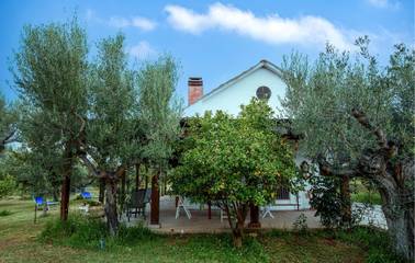 Casa Vacanza per 5 Persone in Morro d'Oro, Costa Adriatica Abruzzo, Foto 3