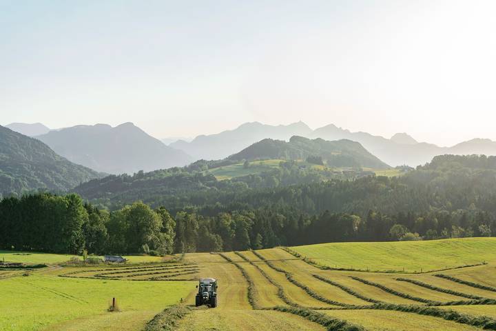 Ganze Ferienwohnung, Ferienwohnung beim Professor - Gemütlich komfortable Ferienwohnung 80qm für max. 4 Personen in Samerberg, Bayerische Alpen