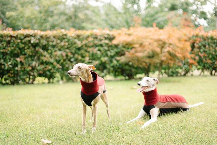 Location de vacances pour 6 personnes, avec vue ainsi que piscine et jardin, animaux acceptés dans Vila Verde - 3